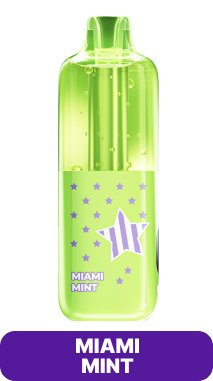MIAMI MINT