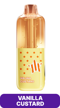 VANILLA CUSTARD